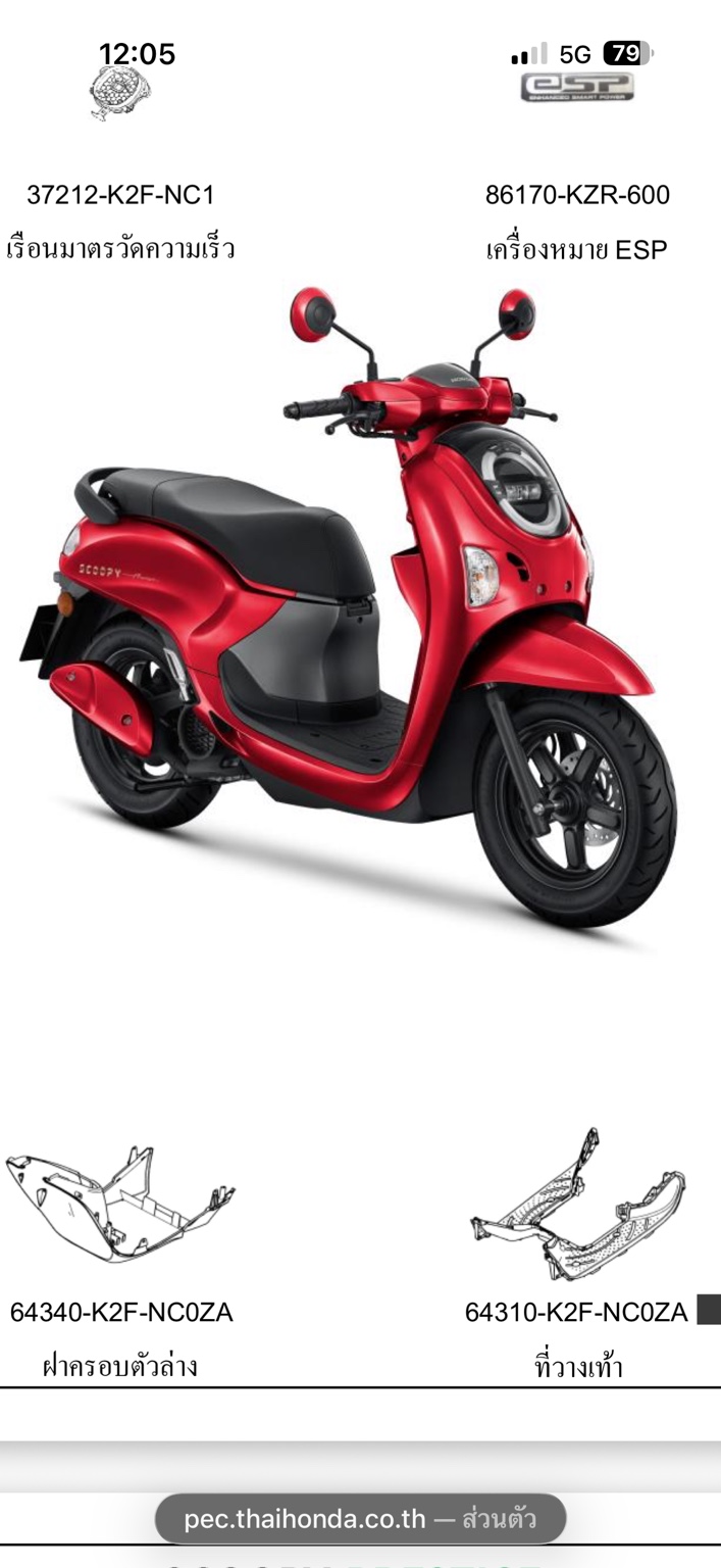 Scoopy 115cc